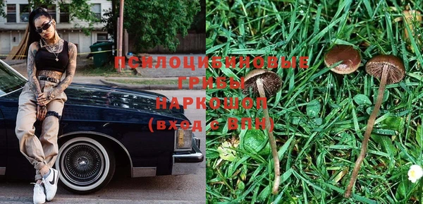 каннабис Арсеньев